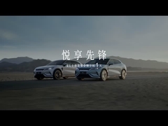 سونغ L EV 550km نموذج سوبيريور 5 أبواب 5 مقاعد SUV