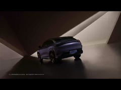 سي ليون 07 EV 2024 550 سباق أربعة عجلات نسخة الهواء الذكي 5 أبواب 5 مقاعد