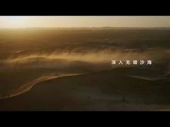 النمر 5 في الرمال