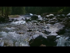 النمر 5 في الماء